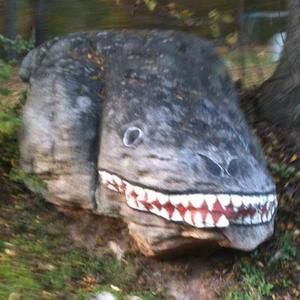 Meet your Posher, Paul